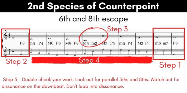 first species counterpoint aural training