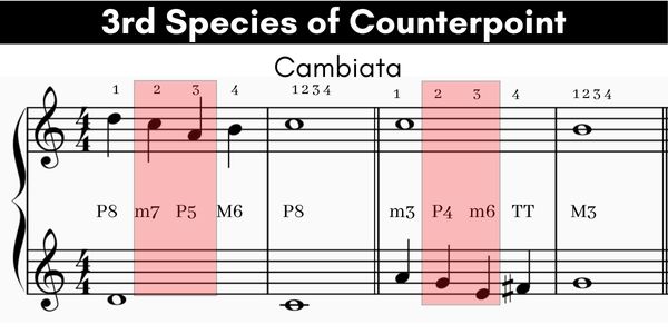 Third species counterpoint cambiata example